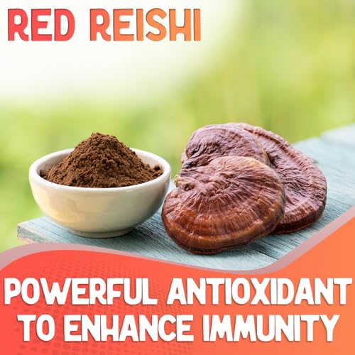 Image of XPRS Nutra Fungi Fusion Mushroom Blend Capsules - 180 Count (90 Day Supply) Premium Blend of Lion's Mane, Reishi, Chaga, Cordyceps Capsules to Support Mental Clarity, Cognition, Energy and Immunity