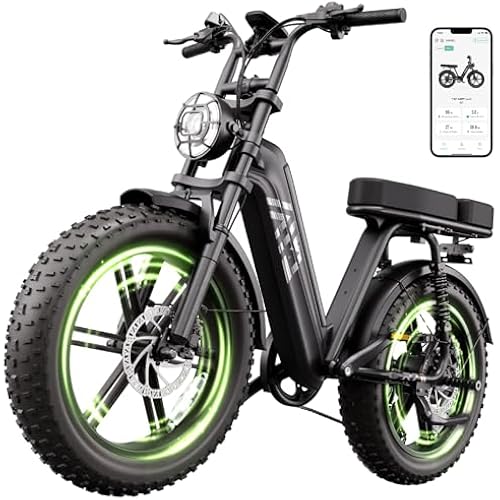 TST Electric Bike - 48V 15Ah Battery, 1500W Peak Motor, 20 * 4.0 Fat Tire