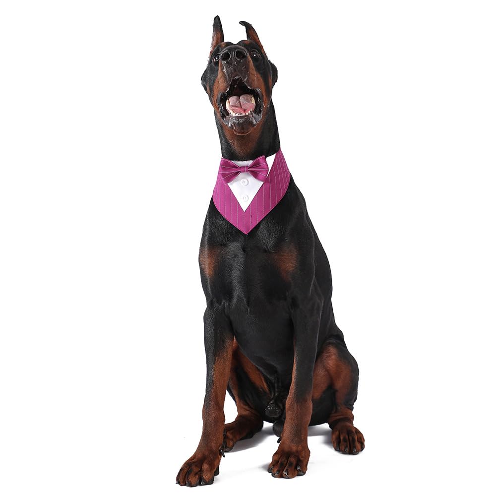 BT Bear Pet Tuxedo Collar Bandana,Wedding Outfit,Bow Tie for Medium Large Dogs Outfit for Party,Birthday,Christmas,Purple Stripes L