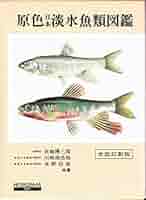 保育社　原色魚類図鑑　5巻 全改訂新版 原色日本淡水魚類図鑑 保育社の原色図鑑 ; 32(宮地