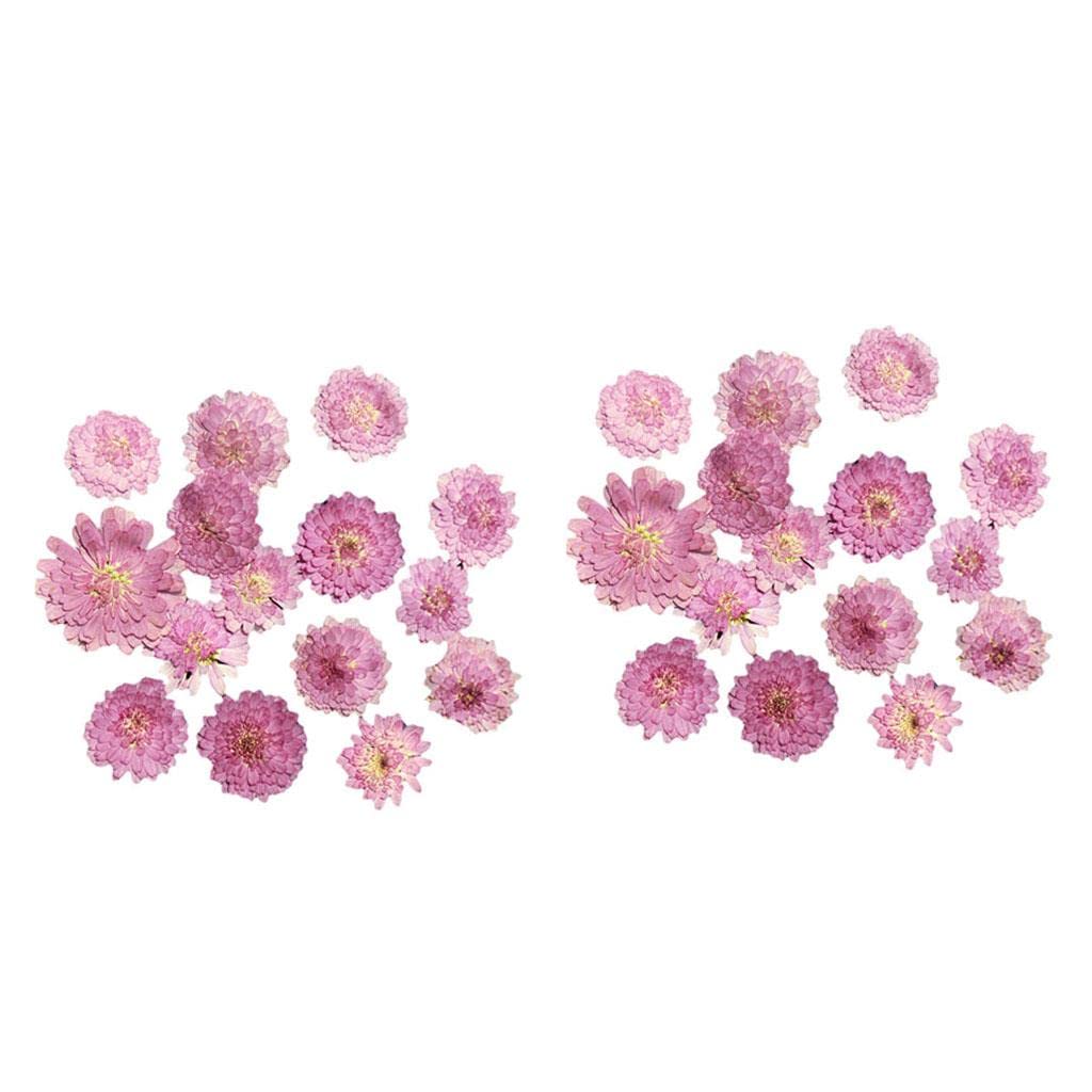 20pcs Pressed Dried Flower Dry Leaves DIY Crafts Bookmark Cards Making 04| Artificial Flower Bouquet | Floral Décor for Home-image-44