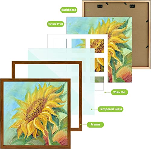 Golden State Art, 16X16 Frame, Brown Solid Wood 16X16 Picture Frame, Fit For 16X16 Photo Without Mat Or Nine 4X4 With Mat, Tempered Glass, Wood Poster Frames For Wall Display #TOP4