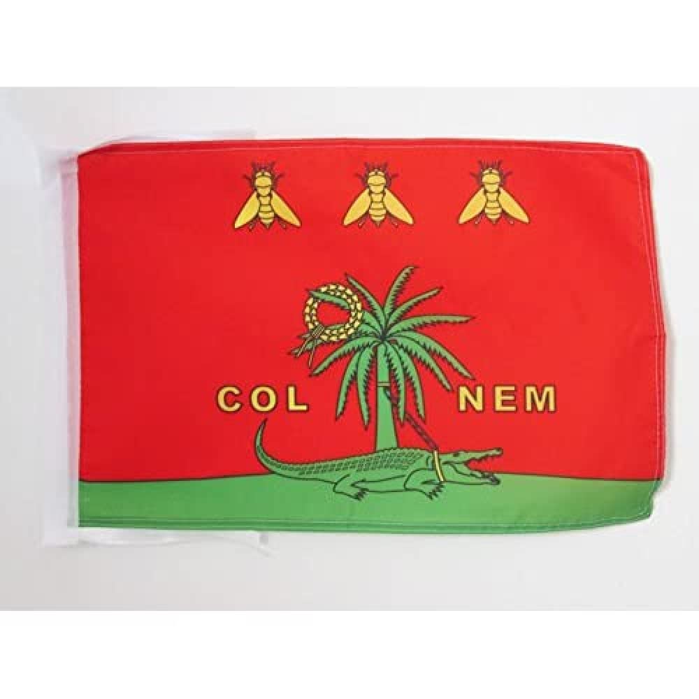 Iran Old Persia Flag 18'' x 12'' cords - Persian SMALL flags 30 x 45cm - Banner 18x12 in - AZ FLAG — view 753