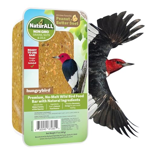 HUNGRYBIRD NaturAll Non-GMO, High-Protein Suet Bar with Peanut Butter Filling for Outside Wild Birds