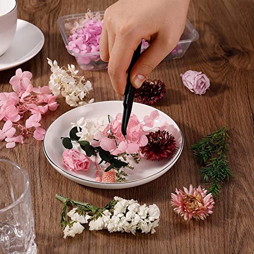 2 Stück Natural Dried Flowers, Dried Flowers Leaves, Dried Natural Flowers Leaves, Geeignet für Die Herstellung von Beuteln, Ornamenten(Blumen, Trockenfrüchte)