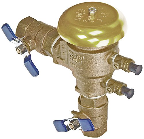 Febco 1" BV-Pressure Vacuum Assembly, 765