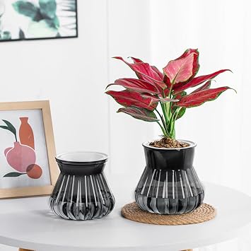 2PCS Self Watering Planters 5.12 Inch Self Watering Pots for Indoor Plants, African Violet Pots with Wick Rope, Flowers, Succulents, Herb, House Plants