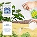LERAVA Neemöl Spray (700 ml) – Pflanzenpflege mit Emulgator – Natürliches Mittel gegen Trauermücken & Blattläuse – Bio Blattpflege stärkt Pflanzenabwehr – Für Zimmerpflanzen & Garten - Neem Öl