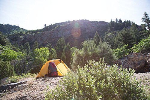 TETON Sports Mountain Ultra 4 Tent