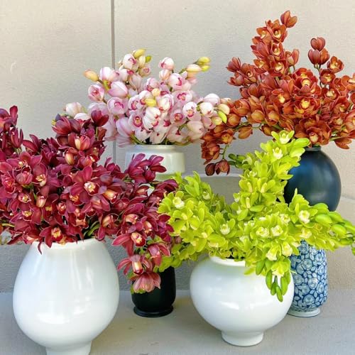 Abono Orquídeas Phalaenopsis Marca Generic