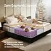 WARMDREAM King Size Mattress, 12 Inch Hybrid King Mattress in a Box, Memory Foam & Individual Pocket Springs, Medium Firm, Motion Isolation, Ideal for All Sleep Positions, CertiPUR-US Certified