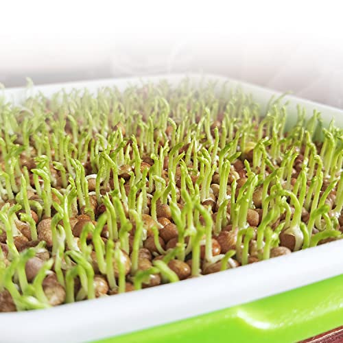 Sdldeer Seed Sprouting Tray, 3 Packs Microgreens Growing Trays Big Capacity Sprouts Growing Kit Soil-Free Sprouter Tray For Sprouting Seeds thumb #5