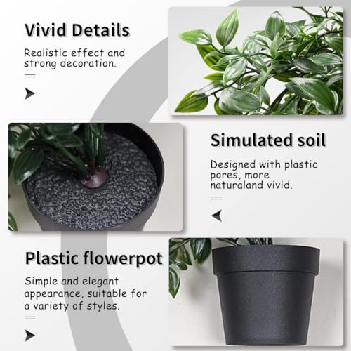 La mejor comparación de Plantas que Puedes Comprar On-line. 26 Imagen adicional