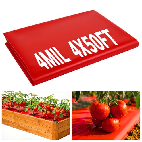 4 Mil Red Plastic Mulch 4 X 50 Ft Garden Plastic Sheeting - Pinhole Drainage Heavy Duty UV Resistant Weed Barrier Agriculture Crops Grow Film for Tomato Eggplant Strawberry Boost Yield by 20%
