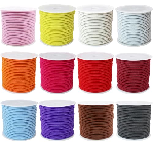 12rolls Colored Elastic Stretch String Assortment 2mm 300ft Elastic Round Beaded Cord Small Bungee Shock Cord for Pony Silicone Beads Large Hole Bead Keychain Bracelet DIY Crafts & Sewing (ZH169)