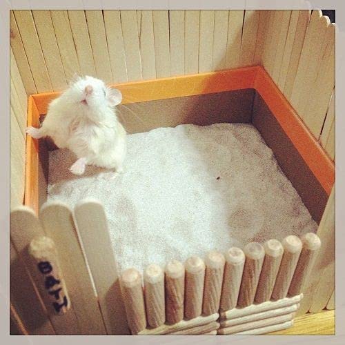 Sage Square Bath Sand for Hamster/Dwarf/Gerbil/Chinchilla/Mice (500 Grms) (Rose Fragrance) (B079SFY589) Amazon Price History, Amazon Price Tracker