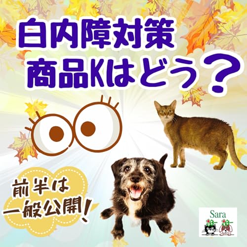 #1028. 白内障対策にサングラス系「商品K」はどう❓（質問に回答）