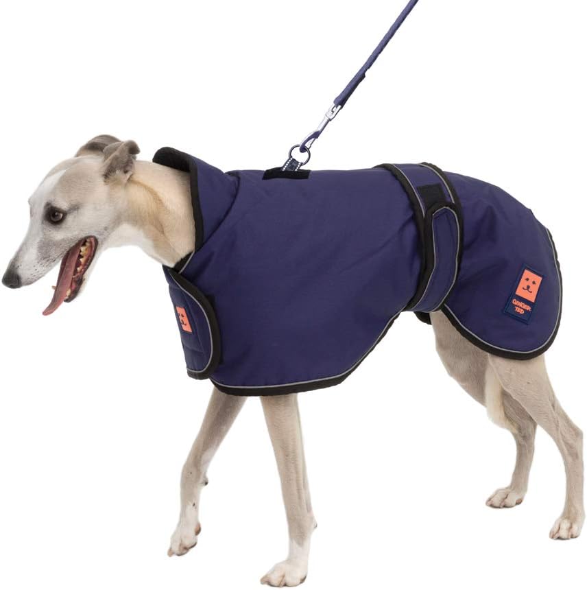 Ginger Ted Waterproof Harness Greyhound Whippet Lurcher Dog Coat size