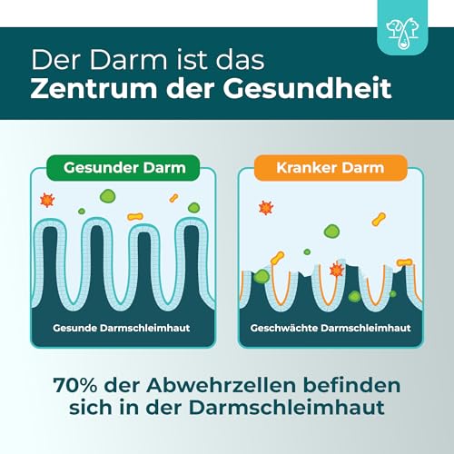 The Home Pet Lab Probiotika Darmpflege für den Hund - Zur Unterstützung des Darms und Einer gesunden Darmflora - Unterstützt die Darmgesundheit durch Stabilisierung der Verdauung