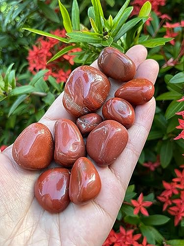 Image of GAF TREASURES 1 /2 LB Red Jasper Tumbled Stones, Polished Red Jasper Gemstone, Red Jasper Healing Crystals (Red Jasper)