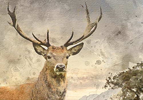 murando - Wandbilder Hirsch 120x40 cm 1 Teilig Wand Deko Leinwand Bilder Groß XXL Wanddeko Wohnzimmer Schlafzimmer Kunstdrucke Panoramabild - Landschaft Natur Tier Wald Wiese wie gemalt g-B-0042-b-a