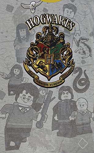 LEGO Harry Potter, Girls Pajama Dorm Nightshirt with Short Sleeves, Black, Little Kid Size 7/83