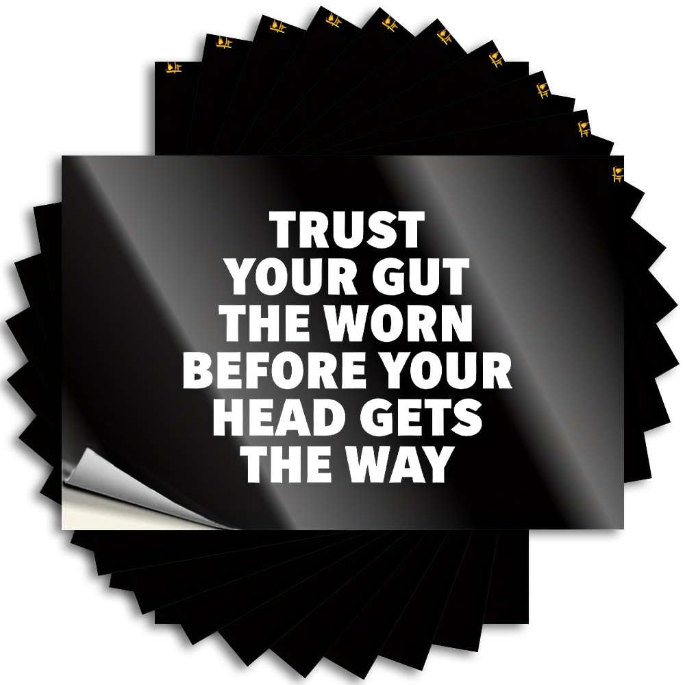 Stickers Funny Durable Vinyl - Trust Your Gut, Not Your Head. Laptop for Mom Use(6X9CM)