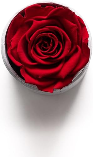 Miniatura 5 de Soho Floral Arts El mejor regalo para maestros  Rosas genuinas que duran años  Regalo de agradecimiento al maestro  Regalos del día del jefe Flores