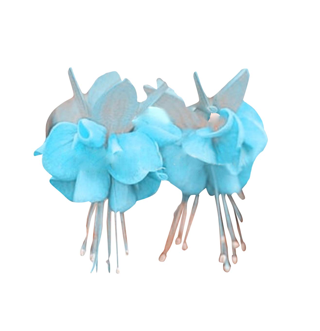 Nema Fuchsia Flower Seeds-Blue-100Pcs