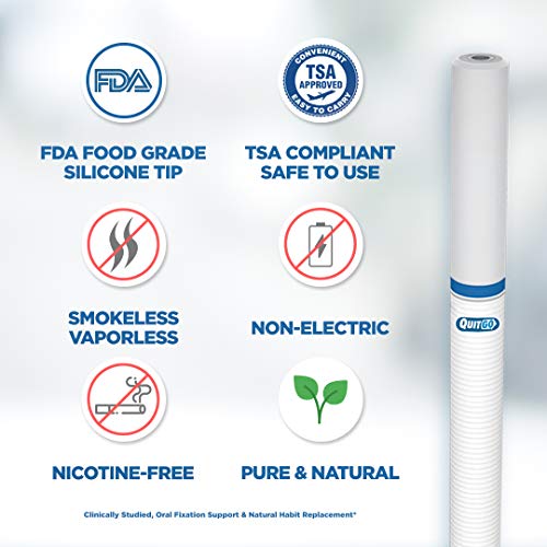 Quit Smoking Aid Oxygen Inhaler + Soft Tip Chewable Filter to Help Curb Cravings, Nicotine Free Non-Addictive Stop Smoking Support & Oral Fixation Relief (1 Pack, Cinnamon)