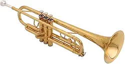 Trompete c/Estojo SFT6418L Shelter