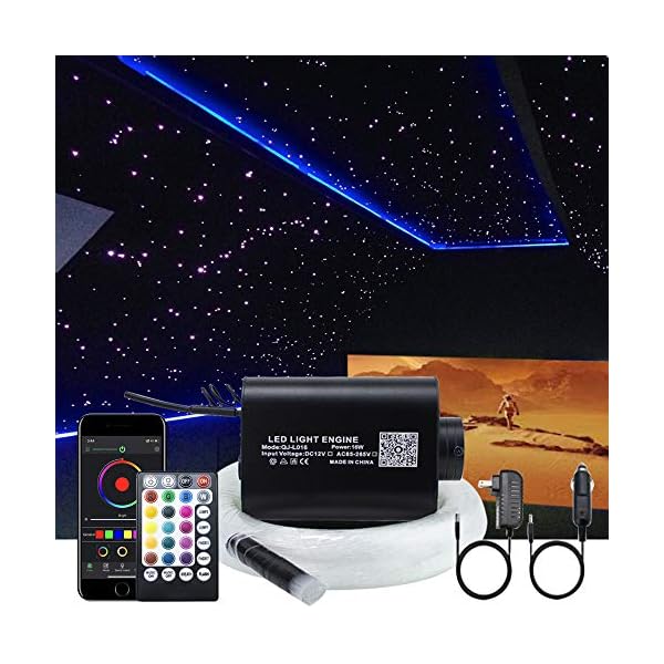 Fiber Optic Light