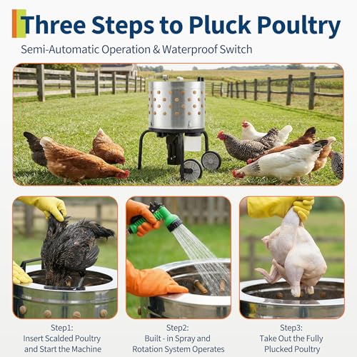 Image of Chicken Plucker Machine, 20 inch Drum Stainless Steel Poultry Plucker