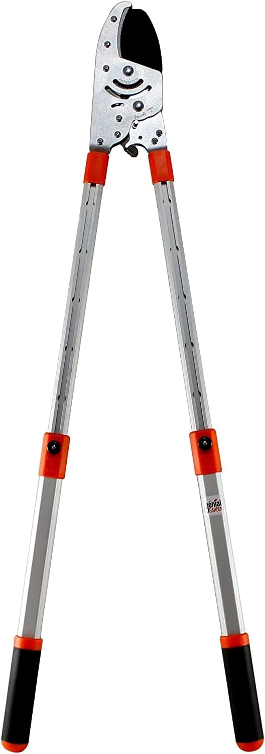 Coupe-Branches à Crémaillère Ultra Puissant | Cisaille Télescopique Réglable 60-108 cm | Lame Acier SK5 | Poignées Ergonomiques | Coupe Facile Bois Dur 5 cm | Outil Élagage Jardin