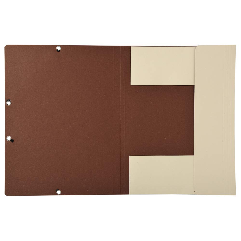 Exacompta 56986SE Carpeta (cartón reciclado, 3 solapas, 400g, A4 elástico) de arena