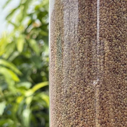 Image of Humming Bird Food Feeder