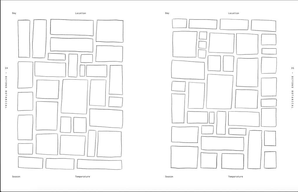 Beyond Botanical: A Guide to Drawing Plants in Nature