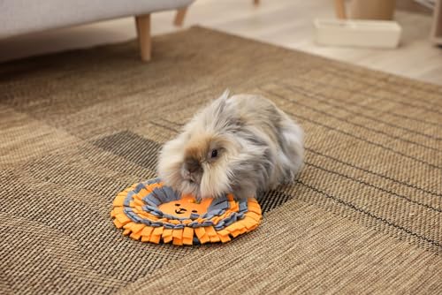 Kerbl Pet Schnüffelteppich, Kaninchenspielzeug, orange, grau, 2cm, Ø25cm, Polyester, Kaninchen, falt- und rollbar, aktiviert Geruchssinn
