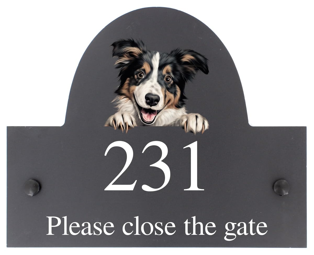 Targhetta personalizzabile con nome o numero civico in ardesia con cane Collie, 25 x 20 cm