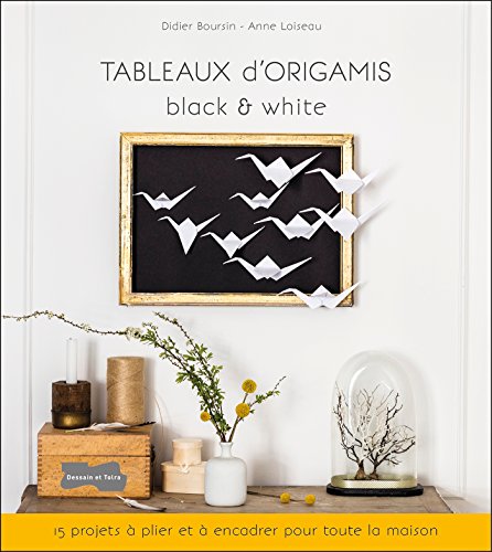 Tableaux d'origamis black & white: 15 projets à plier et à encadrer pour toute la maison
