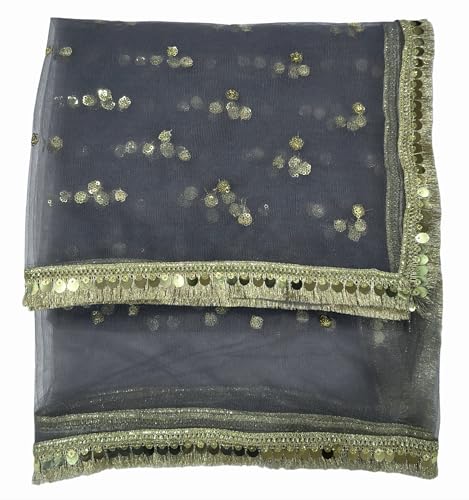 Image of Navti Creations Women's Lightweight Net Dupatta With Sequence Embroidery & Kiran Border (Length 2.25m)