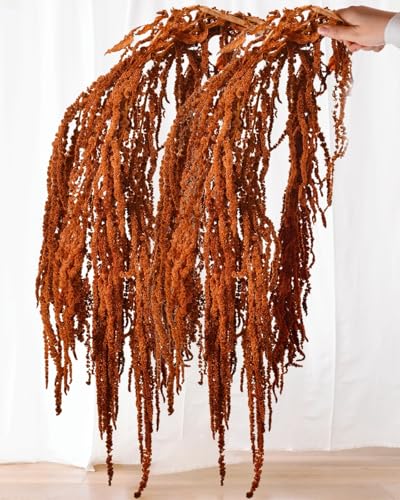 10 Pcs Flores de Amaranto Colgante Secas Marrón 23" miniatura 1