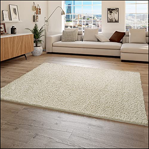 Alfombras Salon 2X3 Pelo Corto Marca Paco Home