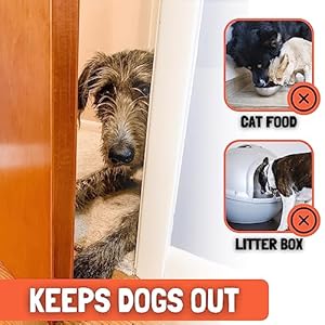 Door buddy door prop for cats  best cat door latch holder to maintain inside door open for pets  canine proof cat feeding station  litter field  sturdy  moveable door stopper  pet gate various   cucciolini doodles