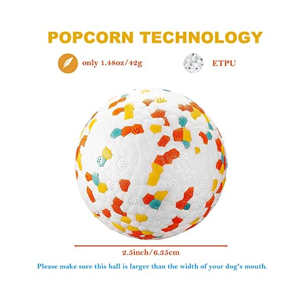 Interactive Ball for Training Dog Catch