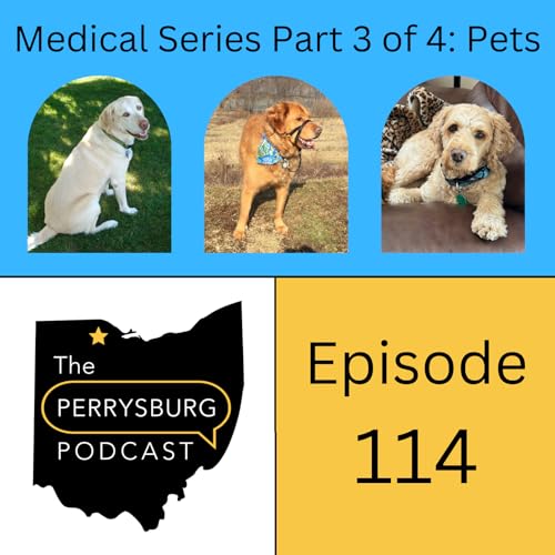 Page de couverture de How to be a pet owner in Perrysburg (Medical Series Part 3 of 4)
