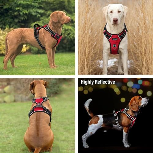 Image of No Pull Dog Chest Belt Harness, Comfortable & Adjustable Size for 35+ Kg Pet (Red, Extra-Large)