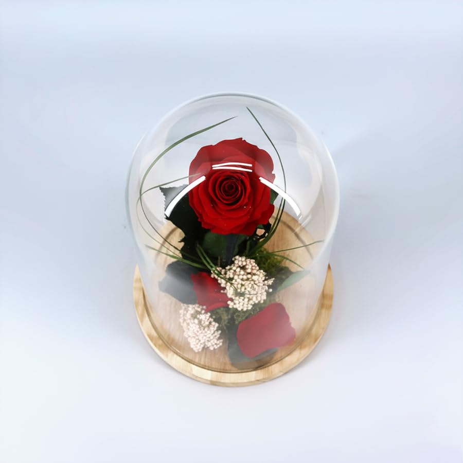 Rosa Roja Eterna Preservada en Cúpula de Cristal (26cm) – Regalo Romántico para San Valentín, Sant Jordi y Día de la Madre