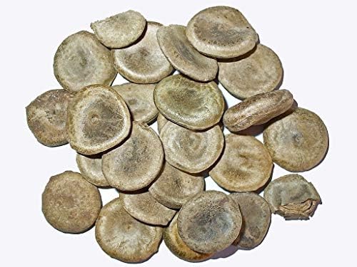 Kuchla -Kuchla Seeds Beej (100 Gms) (B0B8JH5N7R) Amazon Price History, Amazon Price Tracker