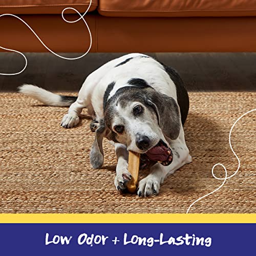 Pupgrade Yak Milk Dog Chews - Long-Lasting, All-Natural Alternative To Rawhide - Protein-Rich, Gluten-Free, Grain-Free - 5 Small Chews - 1.5Oz #TOP3